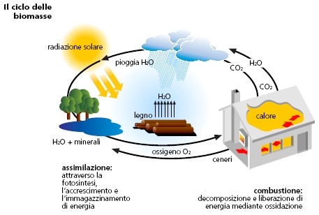 Il Ciclo delle biomasse - Camini & Camini - TCM
